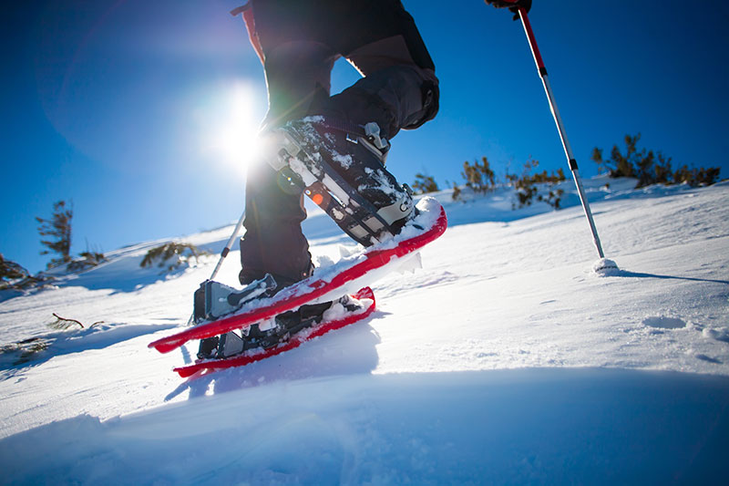 Snowshoe hikes and ski in Cervinia